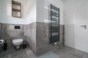 Stylish new vacation home on Lake Müritz with fireplace in a very quiet location on the outskirts of the village - Image 2