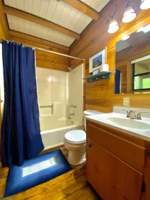 ★Cozy Log Cabin★ Secluded, modern amenities, mins to dwtwn Blueridge. Pets OK! - Image 3