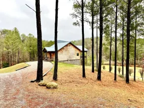 Cabane entièrement équipée avec terrasse et barbecue | Avec animaux admis - Image 5