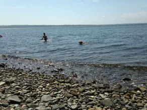 Bord de l'eau - plage isolée, grande cour et vues magnifiques - baignade, poisson, bateau - Image 3