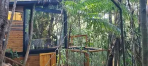 Tree House - Image 3