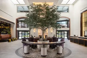 Casa Mani Resort Napa Valley, Curio Collection by Hilton - Image 4