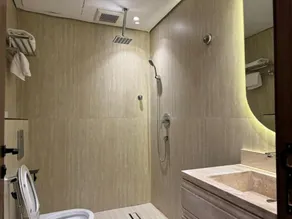 Roshin in Apartment  - Image 5