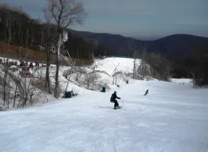 New construction! 1 BD/2 BA Top of Wintergreen mountain. Sleeps 4, pet-friendly - Image 4
