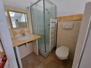 Estate, pretty farm 180m2 4 bedrooms with shower room, swimming pool, woods and private lake, fishing - Image 3