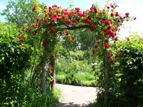 5 camere piccole - e una grande cucina per tutti - casa \"Lehmkloster\" nel giardino Wangeliner con 5 camere singole - Image 4