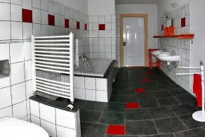 Villa Rotschoenberg im Tal der Freiberger Mulde - Image 2