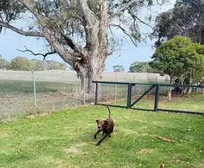 Penola Coonawarra Caravan Park - Image 3