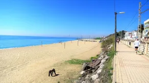 LIANA SEAVIEW & BEACH - apartment - Image 3