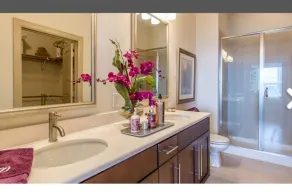New fully furnished Med Center Apt By NRG Stadium - Image 3