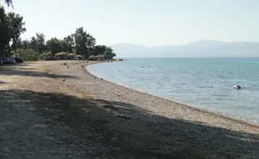 Eretria: Single storey house, in an olive grove, 250 from the beach - Image 3