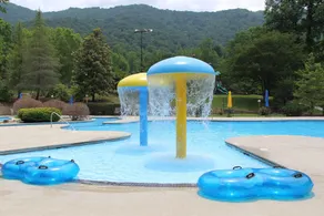 Fontana Village Resort & Marina - Image 2