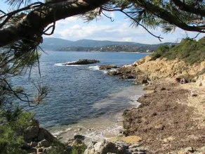 petite mais douce maison de ville à Grimaud - Image 4
