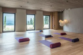 Euphoria Retreat - A Holistic Wellbeing Destination Spa - Image 3