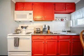 Newly Remodeled 1-BR Close to Everything yet Very Private - Image 5
