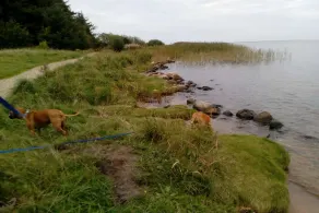 Panorama-oase naer Aalborg -- By Traum Ferienwohnungen - Image 2