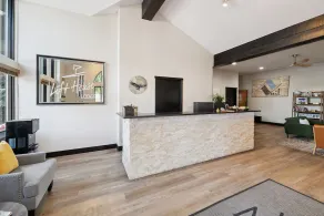 Dog Friendly Remodeled Vail Lionshead, LH Premium - Image 5