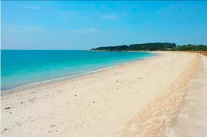 Mellem havnen og stranden, lille bolig med ro, 100 m fra havet - Image 3