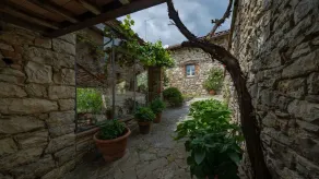 L'Agrifoglio, Gaiole in Chianti, Siena - Image 2