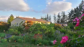 Unabhängige Villa mit privatem Pool im Luberon (6 Personen) - Image 5