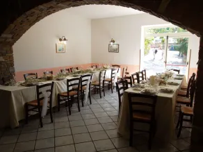 fazenda de eucalipto - Image 5