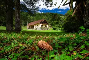 Chalet Araucária (Chalet 1) - Serra da Bocaina, Bananal SP - Image 4