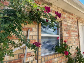 Cozy Guesthouse In The County...Convenient To Fort Hood & Lampasas Areas! - Image 3