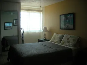 Ocean Front Condo with Spectacular View of the Ocean - Image 3