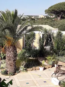 Villa two kilometers from kitesurfing schools - Image 4