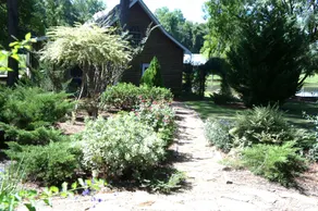 Tifton, GA - Shalom Guest House - Cabin in Peaceful Setting - Image 5