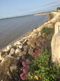 Hus med have, 500 m fra havet, 7 personer, alle komfort - Image 4