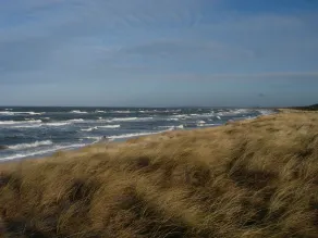 Cozy holiday home close to the Baltic Sea at the nature reserve for up to 4 people - Image 4