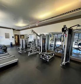 Newly Remodeled Studio Condo in Beautiful Lake Las Vegas Nevada - Image 3