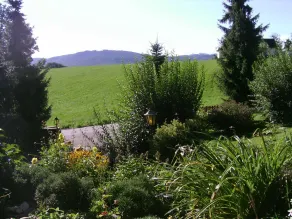 Apartamento - Apartamento em Haidach - Image 2