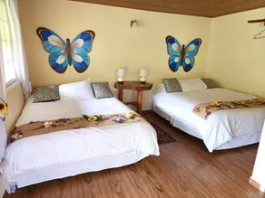 Ecoresort:  We are Panamas leading honey producer and  butterfly exhibit. - Image 3