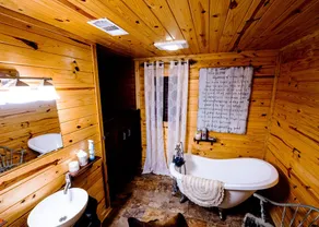 Hytte i fyrretræerne af Sam Rayburn - Image 5