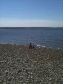 Bord de l'eau - plage isolée, grande cour et vues magnifiques - baignade, poisson, bateau - Image 4