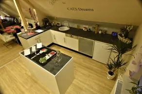 Apartamento de férias / apartamento da empresa Apartamento de luxo em 71 metros quadrados de espaço aberto - Image 5