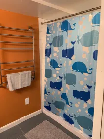 Welcoming and light ground floor studio short walk to dwnt Silver Spring & metro - Image 2
