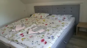 NEU! Ferienwohnung Cottbus nähe Spreewald - Image 4