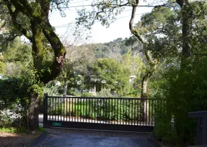 Blue Sky Cottage! Freshly Renovated & Lovely with Gardens in Sunny Central Marin - Image 4