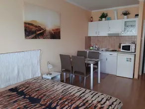 Studio on the Shore of Lake Balaton - Image 5