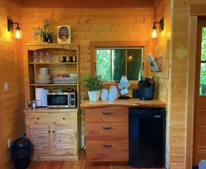 Emerald Forest Treehouse - From Treehouse Masters - Image 5