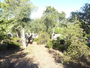 House - House btw. Cogolin and St. Tropez - Image 5