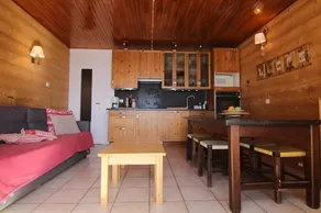 A 50m dalle piste di sci, 4° piano, balcone, televisione, 30m², Alpe d'Huez - Image 5