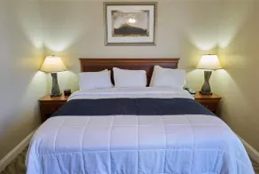 Deluxe Suite Waterfront Views - Image 5