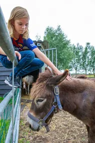 \"In the Farm\" Group accommodation in the Netherlands - Image 4