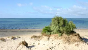 Sonne, Strand und Ruhe VTF / CA / 04369 - Image 5