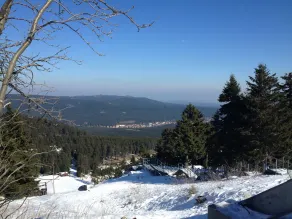 \"Pure nature\" ... Vacation in the Harz Mountains - Image 2