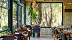 Garrya Romo Hotel - Image 4